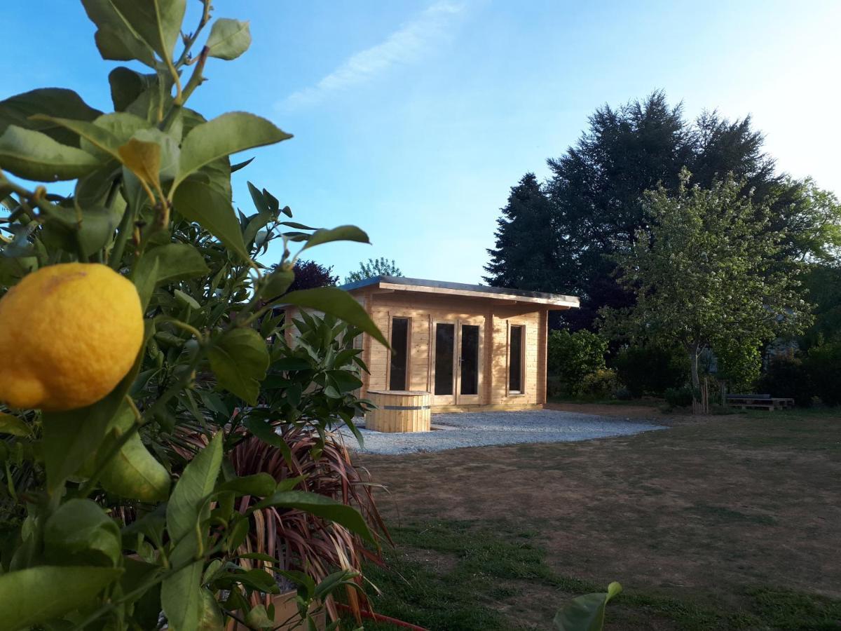 Gite "Le Mesminois" Etablissement Avec Espace Bien-Etre Et Sauna Saint-Mesmin  外观 照片