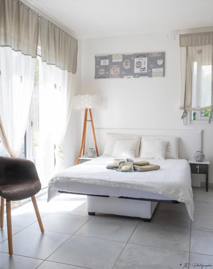 Gite "Le Mesminois" Etablissement Avec Espace Bien-Etre Et Sauna Saint-Mesmin  外观 照片